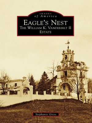 cover image of Eagle's Nest